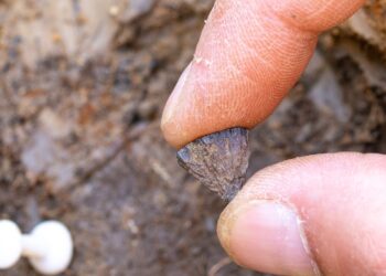 When did humans start making fires? A new study finds the earliest evidence yet : NPR