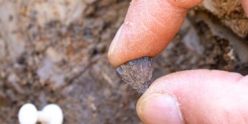 When did humans start making fires? A new study finds the earliest evidence yet : NPR