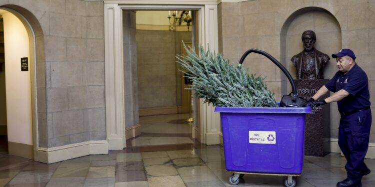 Experts say avoid these recycling mistakes with holiday waste : NPR