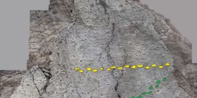 Dinosaur tracks found near Olympic venues in Italy : NPR