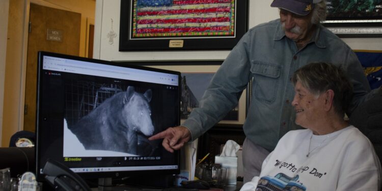 Here’s how Texas towns are handling rising black bear populations : NPR