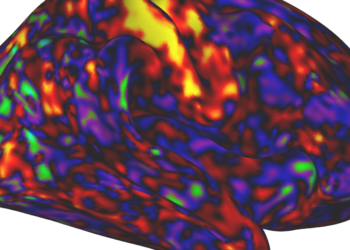 ADHD drugs may boost arousal more than attention : Shots