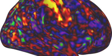 ADHD drugs may boost arousal more than attention : Shots