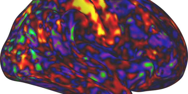 ADHD drugs may boost arousal more than attention : Shots