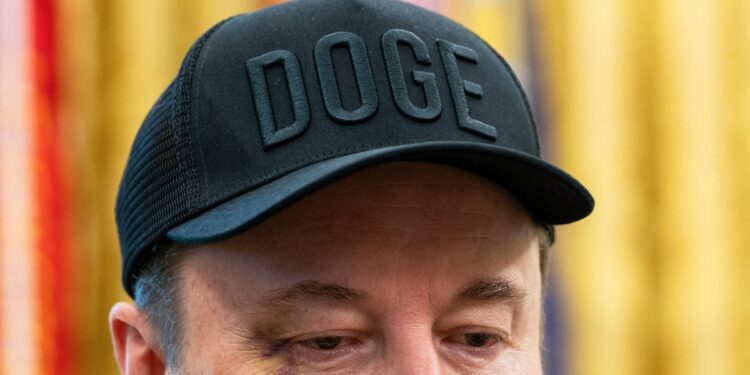 Can An Old DOGE Learn New Tricks?