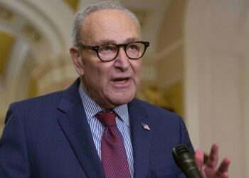 Democrats Consider Partial Government Shutdown To Curb ICE After Minneapolis Shooting