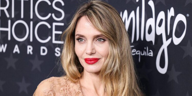 Angelina Jolie Insiders Slam Critics Trolling Her For Baring Her Scars