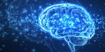 Scientists Are Surprised by How Closely the Brain Resembles AI