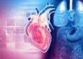 Scientists Uncover Potential “Two-in-One” Treatment for Diabetes and Heart Disease