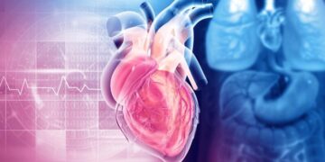 Scientists Uncover Potential “Two-in-One” Treatment for Diabetes and Heart Disease