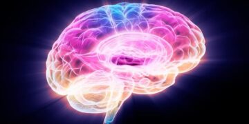 Scientists Found a Way to Help the Brain Bounce Back From Alzheimer’s