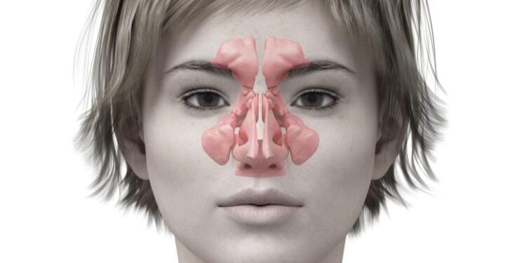 Where the Common Cold Is Stopped Before It Starts