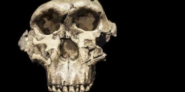 Scientists Found an Ancient Human Relative Where None Was Expected