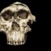 Scientists Found an Ancient Human Relative Where None Was Expected