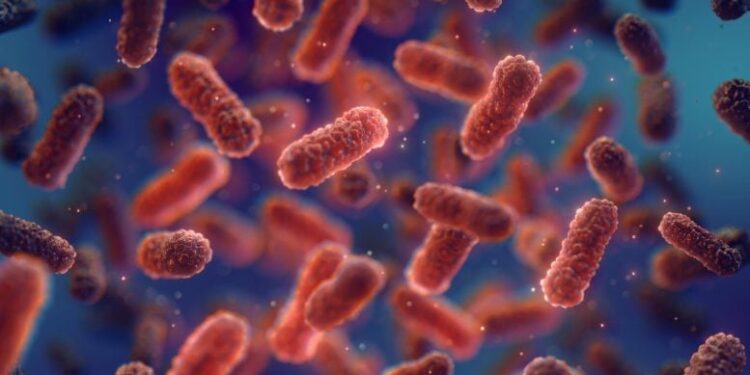 Scientists Discover Natural Protein That Traps and Kills Harmful Bacteria