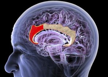 This Chinese Startup Wants to Build a New Brain-Computer Interface—No Implant Required