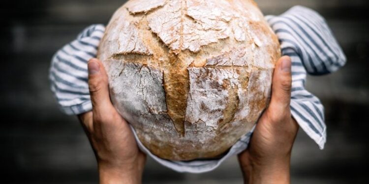 What Really Happens Inside Sourdough? Scientists Uncover the Secret Life of Wheat Fibers