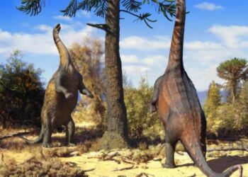 These Giant Long-Necked Dinosaurs Could Stand Upright – and Scientists Finally Figured Out Why