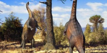 These Giant Long-Necked Dinosaurs Could Stand Upright – and Scientists Finally Figured Out Why