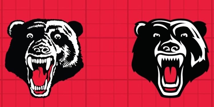 Perth Bears unveil logo, Mal Meninga, James Bracey comments, reaction