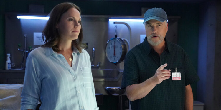 Every CSI Show, Ranked