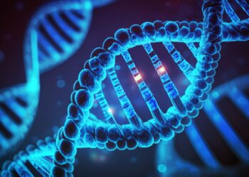 Genes play a big part in driving lifespan, scientists find | Science, Climate & Tech News