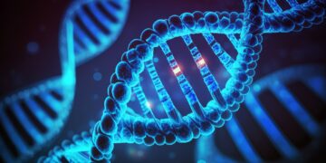 Genes play a big part in driving lifespan, scientists find | Science, Climate & Tech News