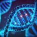 Genes play a big part in driving lifespan, scientists find | Science, Climate & Tech News