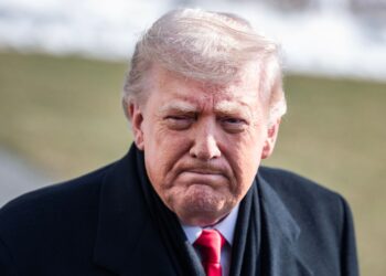 He wasn’t a would-be assassin, Trump says of ICE victim | US News