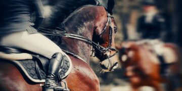 CVC-backed Global Sport Group adds to stable with $300m Equine Network deal | Money News