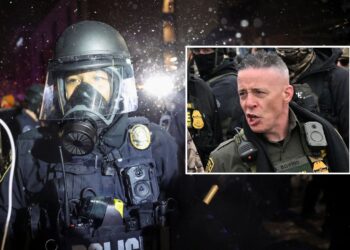 Minneapolis latest: ‘Public face’ of Trump’s ICE operation to leave city | US News