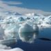 We can learn a lot from Antarctica’s weird biology | Science, Climate & Tech News