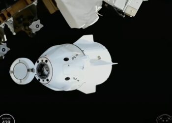 NASA’s Crew-11 returns after shortened 5 month space mission : NPR