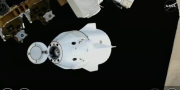 NASA’s Crew-11 returns after shortened 5 month space mission : NPR