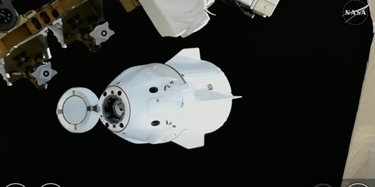 NASA’s Crew-11 returns after shortened 5 month space mission : NPR