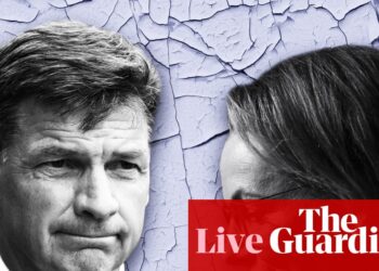 Australia politics live: Angus Taylor confirms leadership challenge promising ‘clarity, courage and confidence’ after spill motion delivered to Ley | Australia news