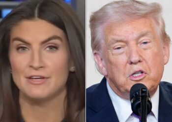 Kaitlan Collins Says 1 Aspect Made Trump’s ‘Smile’ Attack On Her Different