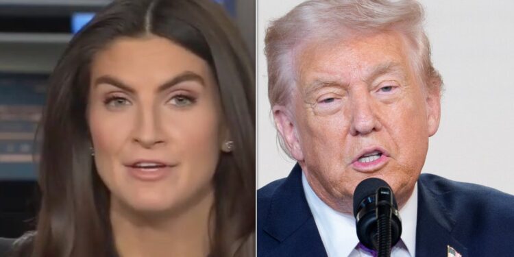 Kaitlan Collins Says 1 Aspect Made Trump’s ‘Smile’ Attack On Her Different