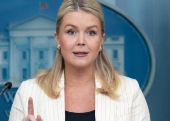 Karoline Leavitt Is Asked Outright: ‘Does White House Have A Social Media Problem?’