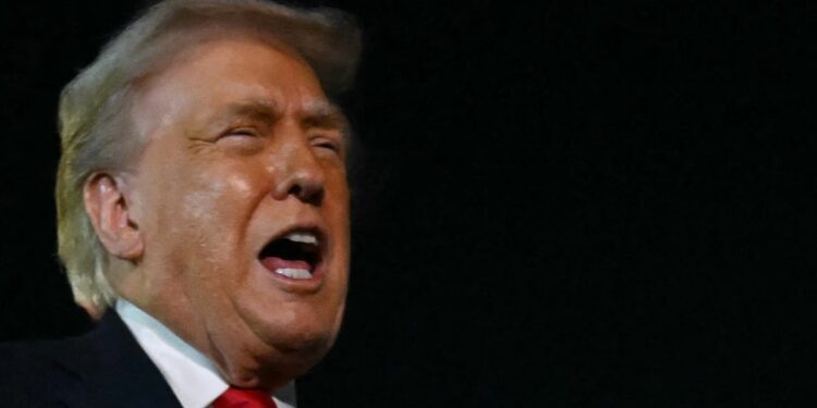 Trump Reveals What He Thinks Is ‘Needed’ And Critics Have Notes