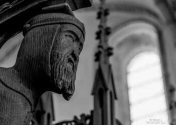 Monty Python Got It Wrong: 939 Skeletons Challenge Medieval Disease Myths