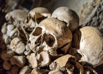 DNA From Ice Age Skeletons Solves a Medical Mystery That Puzzled Scientists for Decades