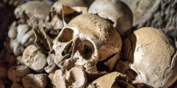 DNA From Ice Age Skeletons Solves a Medical Mystery That Puzzled Scientists for Decades