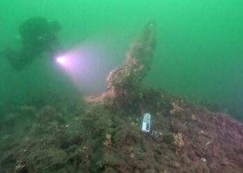 Lost for 80 Years: WWII B-17 Bomber Discovered in the Baltic Sea