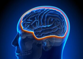 Aging Makes the Brain Leaky but Exercise Fights Back