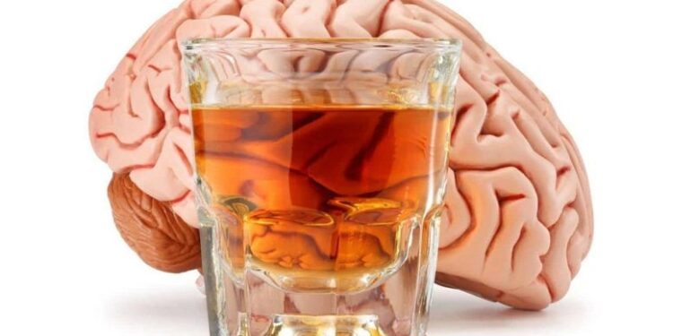 The Brain May Be Wired for Drinking Before the First Sip