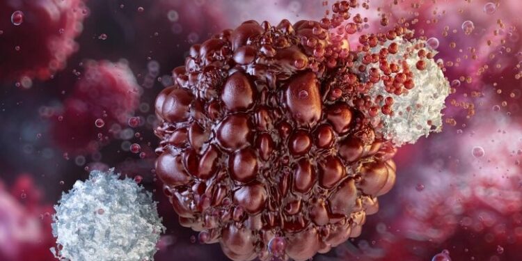 Scientists Turn Cancer’s Bodyguards Against It