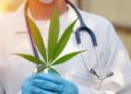 Thinking About Marijuana After 65? Doctors Warn of Overlooked Health Risks