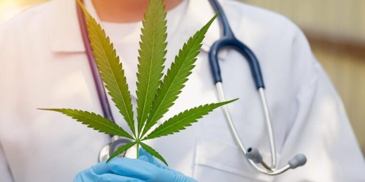Thinking About Marijuana After 65? Doctors Warn of Overlooked Health Risks