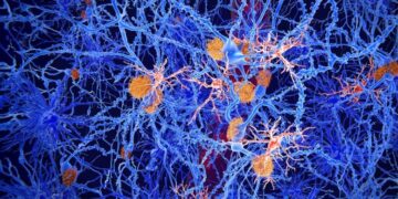 Scientists Uncover a Hidden Early Stage of Alzheimer’s That They Can Stop